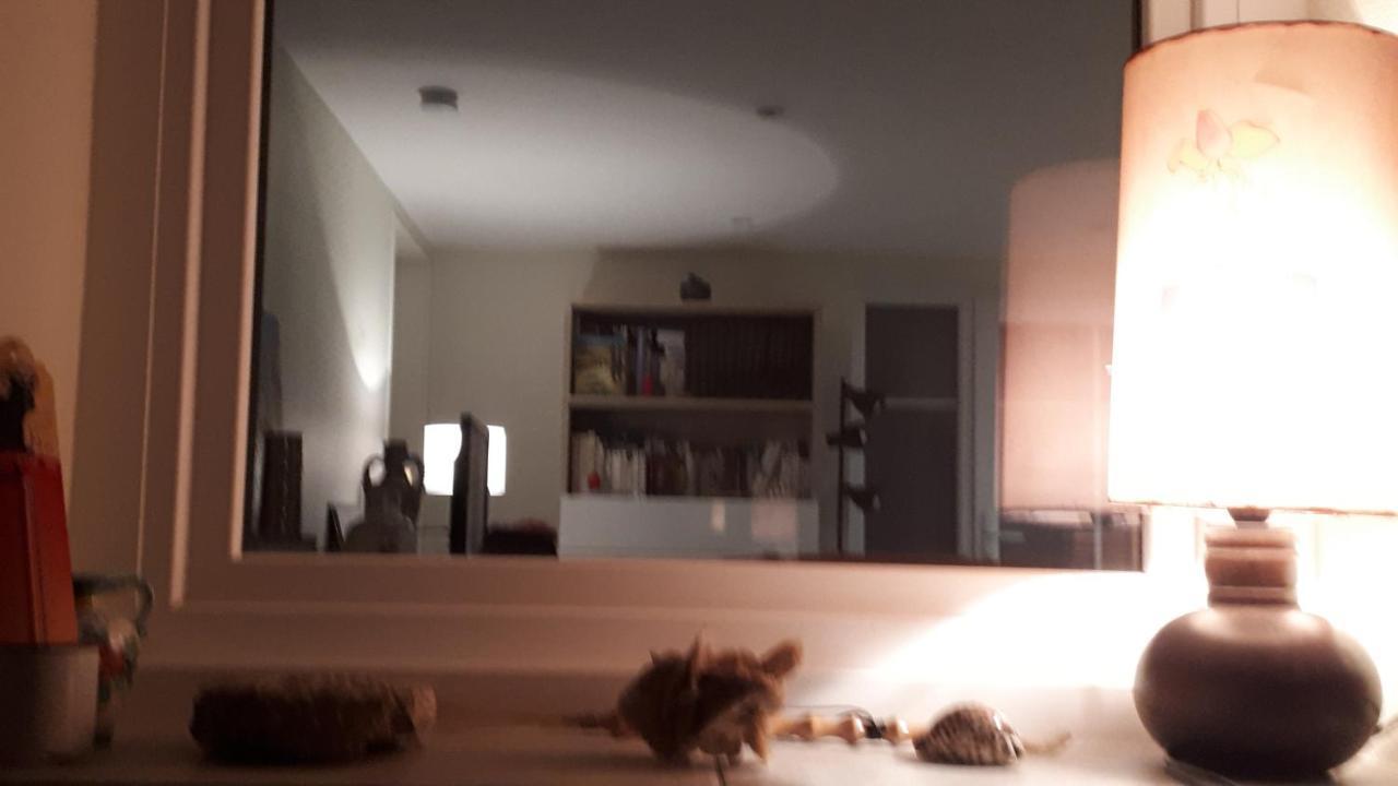 Les Ecureuils Bourguignons Apartment มงต์ชาแน็ง ภายนอก รูปภาพ