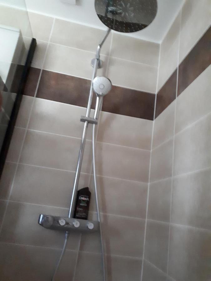 Les Ecureuils Bourguignons Apartment มงต์ชาแน็ง ภายนอก รูปภาพ